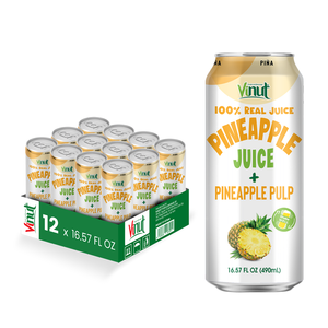 VINUT Bebida de jugo de piña con pulpa 490ml Variedad de sabores, sin azúcar, Etiqueta Privada, OEM/ODM, precio de fábrica, muestra gratis - Product Image 1