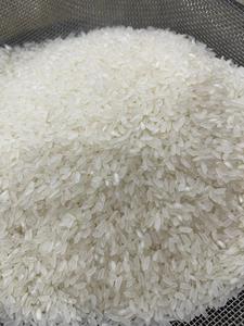 Riz à grains longs ST25 de qualité supérieure-Approvisionnement en gros du Vietnam - Product Image 3