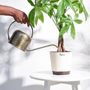 Bidons d'eau en métal Fournisseur de jardin Arrosoir pour plantes Couleur or Arrosoir fait main plaqué brillant pour la maison Jardin Utilisation quotidienne - Product Image 3