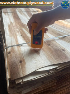 Proveedor de Chapa de Madera de Acacia y Eucalipto de Vietnam, Mejor Precio, Exportador Filipino HCPLY, Aplicación en Almacenes, 1 Año de Garantía, 18% - Product Image 5