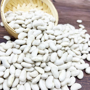 Affordable White Kidney <b>Beans</b> Supplier Fast Delivery Worldwide - Product Image 6