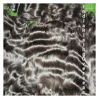 Vente chaude 2025 naturel vague Style cuticules brutes alignées Double trame sud indien Temple Extensions de cheveux prix le plus bas