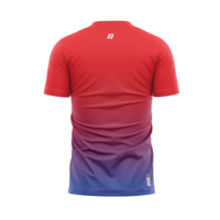 Camisetas Deportivas Unisex Personalizadas OEM ODM de Spandex/Poliéster, Conjuntos de Camisetas sin Costuras con Elasticidad en Cuatro Direcciones, Transpirables, con Impresión por Sublimación