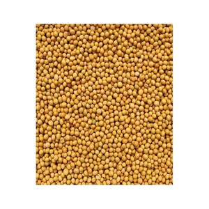 Soja orgánica de alta calidad a granel OMG y no OMG Soja de cultivo no OMG a la venta al por mayor - Product Image 6