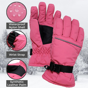 Custom Logo Windproof Waterproof Winter Warm Thermal Touchscreen Snowboarding Snow Gloves with Polyester Material for Men Women - Product Image 2