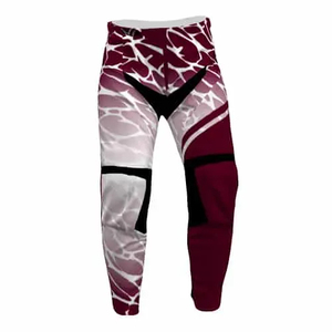 Nuevos pantalones de Motocross de carreras de automóviles para motocicleta Auto Racing a prueba de viento impermeable transpirable opciones de talla grande para moto de cross - Product Image 3