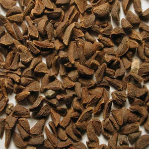 Harmal | Producto herbario de alta calidad para exportación - Product Image 2