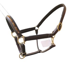 Offre Spéciale Showman haute qualité Bling cuir muserolle licou différentes couleurs avec raccords en laiton massif divers prix - Product Image 1