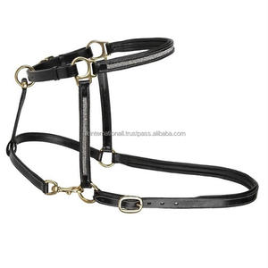 Cabestro de Cuero Negro Acolchado de Lujo Hecho a Mano para Caballo con Herrajes de Latón Sólido y Hileras de Elegantes Cristales y Diamantes de Imitación - Product Image 1