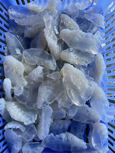 SUMINISTRO A GRANEL DE Medusas saladas Medusas sazonadas - Product Image 3