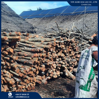 ARANG GROSIR DARI VIETNAM BAHAN BAKU ARANG PUTIH HARDWOOD/ SIAMEA/ARANG KOPI TANPA ASAP