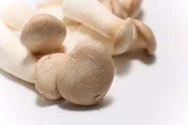 Procesamiento crudo a base de plantas cultivadas de setas de termitas secas de bosque puro - Product Image 5