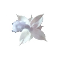 Meilleure vente 4.5cm & 8cm bois Sola fleurs différentes formes décorations pour la maison en différentes couleurs pas cher prix de gros