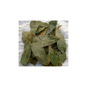 Venta al por mayor de hojas de Guanábana orgánica, hojas secas puras, ideales para bebidas a base de hierbas, sangre antiinflamatoria altamente antioxidante - Product Image 1