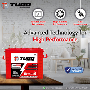 TUBO 220 AH C10 Performance Lead Acid Export all OEM brands Solar batteries Solar Battery Storage Units Array best offer prices - Product Image 5