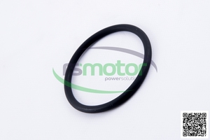 Joint torique original/OEM pour MWM RS-01181982 nouvelles pièces de moteur au gaz naturel pour moteur de machines - Product Image 6