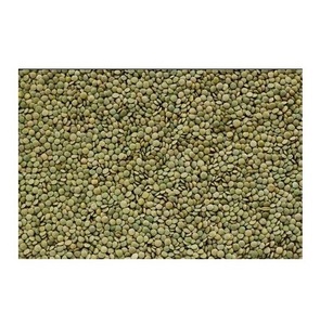 Lentejas verdes/rojas (Masoor Dal) de primera calidad al mejor precio para exportación - Product Image 1