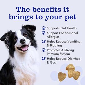 OEM/ODM Masticables Blandos Multivitamínicos 11 en 1 <span class=keywords><strong>para</strong></span> <span class=keywords><strong>Perros</strong></span> y Gatos con Glucosamina, Probióticos y Aceite de Pescado <span class=keywords><strong>para</strong></span> la Salud Articular, Absorción Rápida - Product Image 2