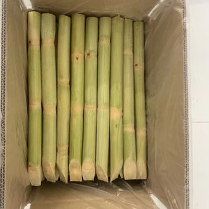 Offre spéciale Canne à sucre congelée du Vietnam au goût naturel sucré Canne à sucre congelée prête à être expédiée pour le jus et l'exportation 99 Gold Data - Product Image 1