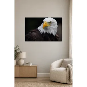 Portrait d'aigle chauve sur fond noir, impression sur toile - Product Image 4