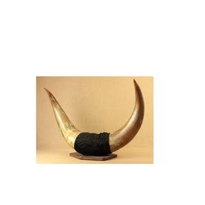 Paire de vaisselle en corne de buffle moderne, support en laiton doré, paire de corne de buffle pour taille personnalisée et prix bas - Product Image 6