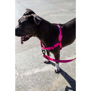 Collar para Perro Pettorina Soft Walk Rosa con LED, Diseño Simple con Patrón Sólido - Product Image 4
