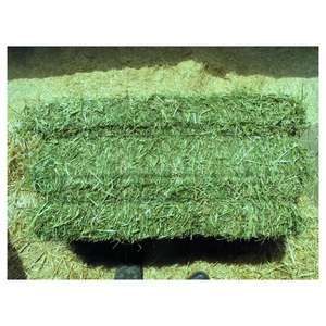 Foin d'alfalfa premium à vendre en gros, export, foin d'alfalfa de haute qualité, riche en nutriments pour une alimentation saine du bétail - Product Image 5
