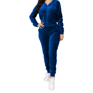 2025 femmes hiver Jogging Fitness Sexy velours respirant survêtements fermeture éclair sport costume Logo à capuche été grande taille - Product Image 1
