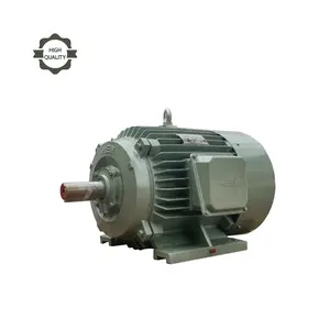 3-Phase Induction Motor IEC standard 220/380V & 380/660V Vietnam supplier for small and medium-sized steel rolling machines