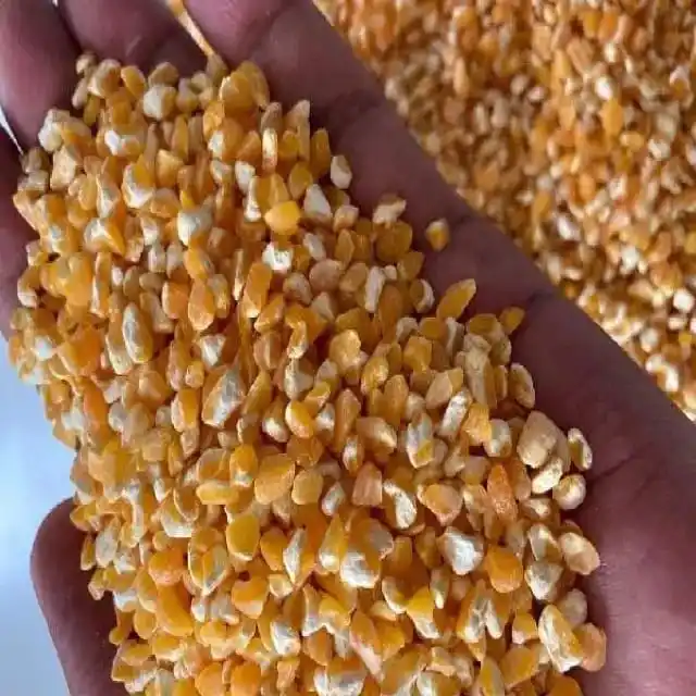 Grains de maïs jaune séchés pour farine animale Noyau de maïs jaune frais expérimenté | Maïs prix de gros