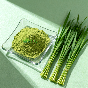オーガニックバルクスーパーフード大麦草粉末スーパーグリーンパウダー天然大麦葉ジュース粉末 - Product Image 1