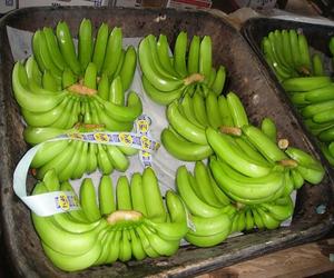 Top-Rated Premium Organic Cavendish <b>Bananas</b> Fresh Yellow Cavendish with Long Green Pattern Ready for Export From Farms - Product Image 6