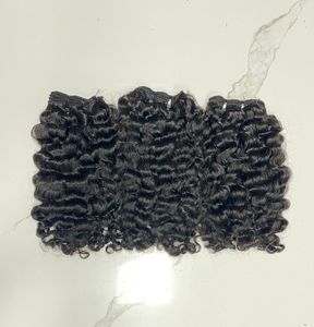 Cheveux vierges bouclés birmans de qualité supérieure Nouveaux styles 12A CHEVEUX HUMAINS pour cet été - Product Image 1