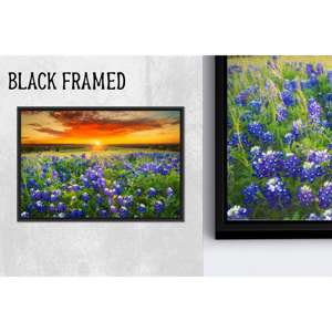 Lienzo impreso: decoración artística para pared de cristal con paisaje de campo Bluebonnet, lienzo con marco negro, 1 pieza - Product Image 1