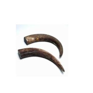 קרן תאו כלב ללעוס/כלב מזון/מזון לחיות מחמד מוצרי התאמה אישית באפלו הורן ללעוס מזון עבור המחיר הטוב ביותר - Product Image 6