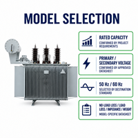 Transformateur de distribution immergé dans l'huile triphasé APEX S13 1000-2500 kVA 22 kV/400-415 V pour projets EPC d'infrastructure 50/60 Hz