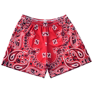 Shorts en maille pour hommes pour la salle de sport, le sport, le jogging, l'entraînement, la course à pied, le fitness, le basketball, respirants, à séchage rapide, élastiques - Product Image 5