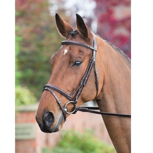 Casque Rembourré Flash Bridle En Gros Nouvelle Haute Qualité Cheval Snaffle Bride En Cuir En Noir - Product Image 1