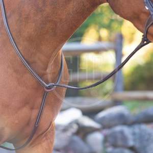 Martingale d'équitation en cuir léger avec détection d'aiguille, conception de haute qualité pour un confort maximal du cavalier, contrôle du cheval - Product Image 2