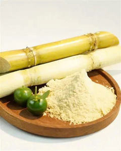 Zumo de caña de azúcar liofilizado de alta calidad en polvo/natural/listo para usar/grado alimenticio - Product Image 4