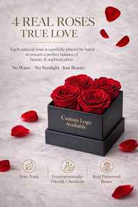 Rosas Preservadas en Caja Cuadrada, 4 Flores Rojas, Regalo de Cumpleaños, Decoración Elegante para Mesa, Ecológico - Product Image 2