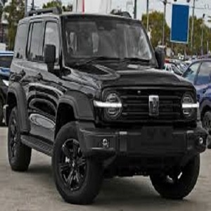 2025 2026 utilisé et tout neuf entièrement garantie SUV 4X4 voitures réservoir 300, réservoir 500, réservoir 400 et réservoir 700 voiture - Product Image 2