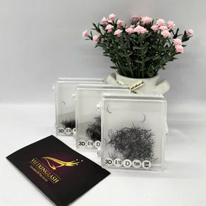 Eyelashes Extension3D C CC D DD Easy <b>Fan</b> 0.03 0.05 0.07mm Individual Cashmere Volume Lashes Tray CustomPrivate Label - Product Image 1