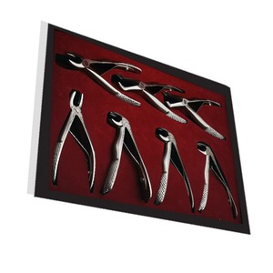 Pince d'extraction de dents de vente chaude pince dentaire pour dentiste avec trousse à outils Instrument d'extraction chirurgicale dentaire adultes