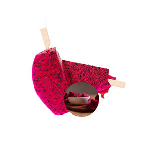 Competitive Price International Standard Delicious Low Cost <b>FROZEN</b> DRAGON <b>FRUIT</b> ON A STICK 100g - Product Image 5