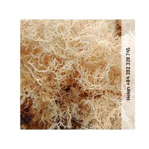 สาหร่ายทะเลดิบจากเวียดนามสำหรับทำแคปซูลซีมอส คอมโบสาหร่ายทะเลบริสุทธิ์ ขายส่งจำนวนมาก สาหร่ายทะเลแห้งในเวียดนาม - Product Image 4