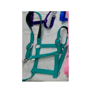 Premium Quality Durable Different Color Nylon Horse <b>Halter</b> For Horses Customized Size & Color Available Wholesale Manufacturers - Product Image 4