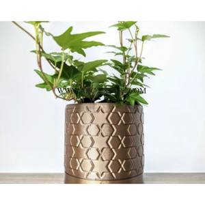 Design minimaliste brillant plaqué or métal jardinière maison hôtel et Restaurant fleur plante décoration jardinière forme indien - Product Image 2