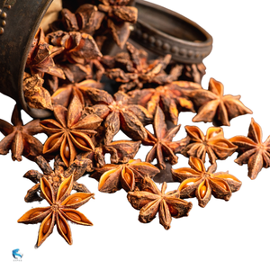 ฤดูของฤดูใบไม้ร่วงแห้งดาวโป๊ยกั๊กแห้งฤดูใบไม้ผลิแห้งดอกไม้แห้งแตกดาว Illicium verum ส่งออกจาก expad - Product Image 4