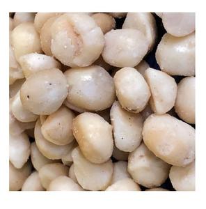 Noix de macadamia en gros 10 kg Noix de macadamia en vrac - Product Image 6